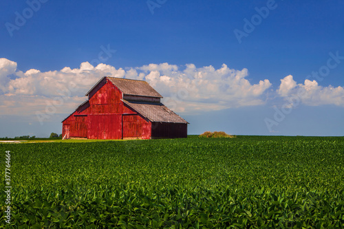 Red barn over a soy bean field