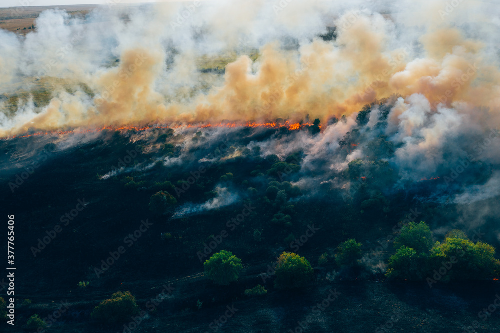 Aerial view smoke clouds of wild fire. Fire in forest spreads, natural disaster. Aerial view smoke clouds of wild fire. Fire in forest spreads, natural disaster.