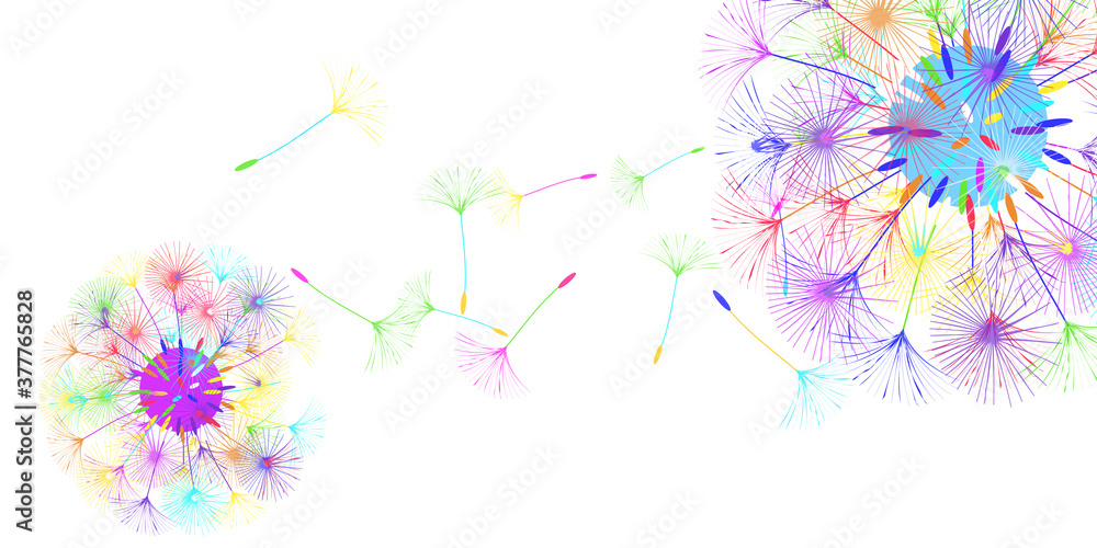 Dandelion background. Dandelion background.