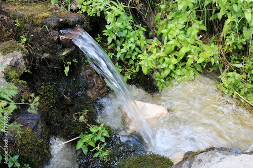 waterfall in the forest