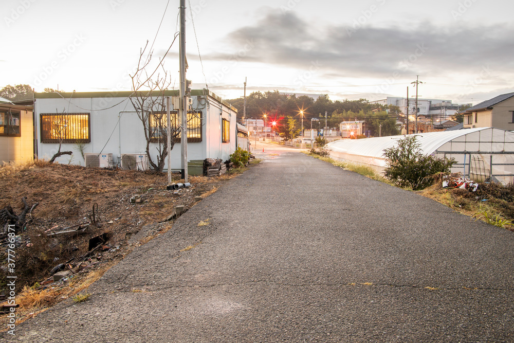 Obraz premium Empty road between greenhouse and small building to empty intersection in predawn hour