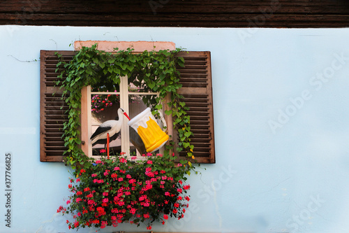 Background concept for presentation, with a stork in front of window
