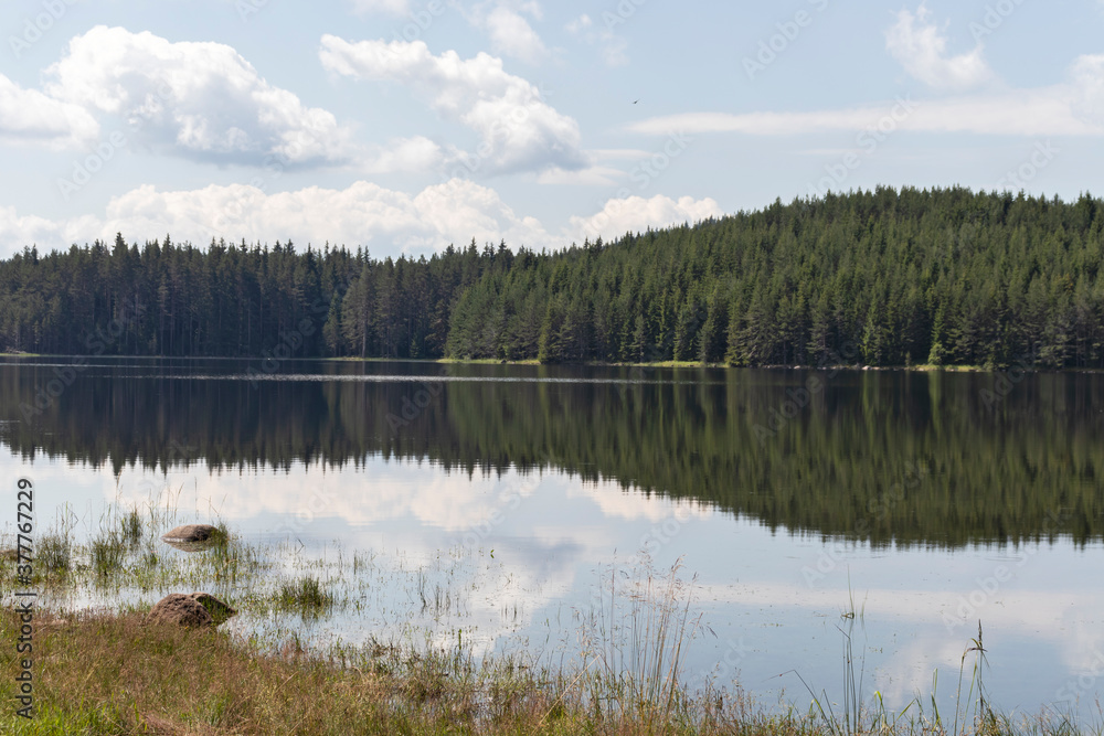 Landscape with Shiroka polyana Reservoir, Bulgaria
