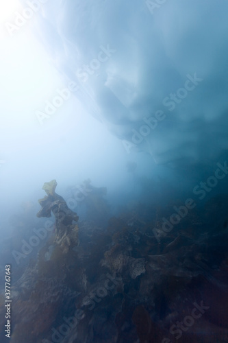 Underwater Icebergs, Ililussat, Greenland © Paul