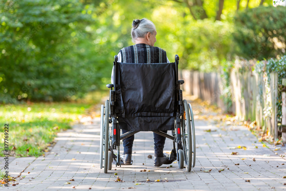 Obraz premium a young woman pushes an old lady in a wheelchair through a park