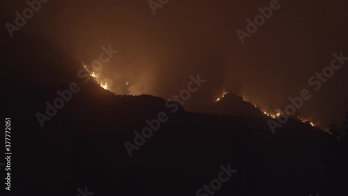 Bobcat Wildfire in Monrovia California photo