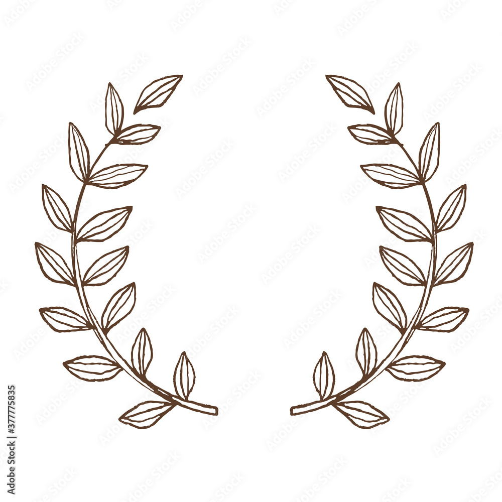 レトロでおしゃれな手描き線画イラスト素材 月桂樹 Stock Vector Adobe Stock