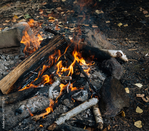 small bonfire on outdoor recreation