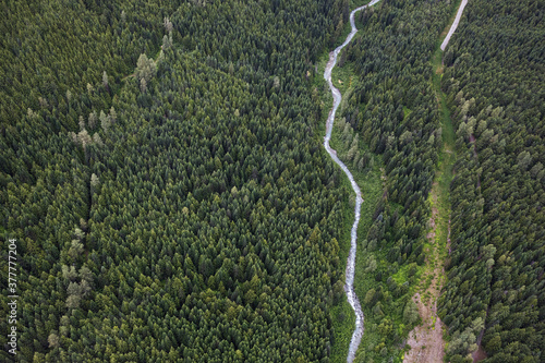 Green forest and river in countryside of Whistler British Colmbia photo