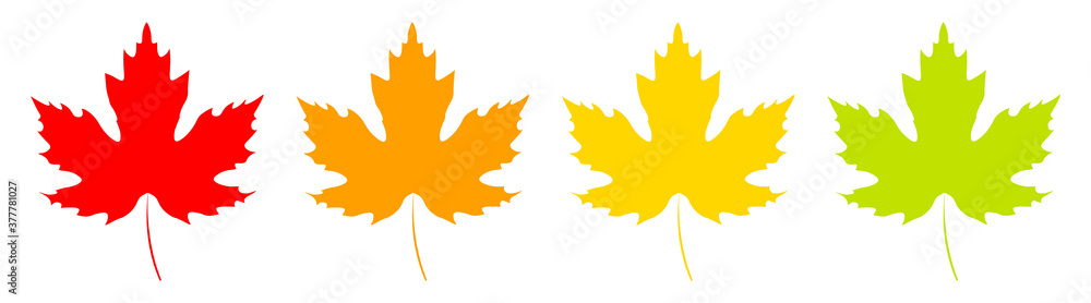 Maple leaf icons, graphic design template, vector illustration Maple leaf icons, graphic design template, vector illustration