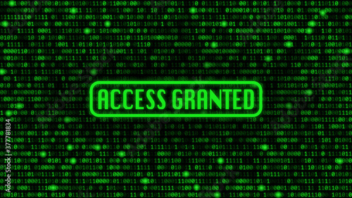 Green binary code background with "access granted" text.	
