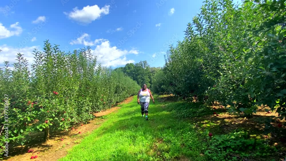 Plus Size Black Woman Walks In A Georgia Apple Orchard Smiling And Talking Plus Size Black Woman Walks In A Georgia Apple Orchard Smiling And Talking