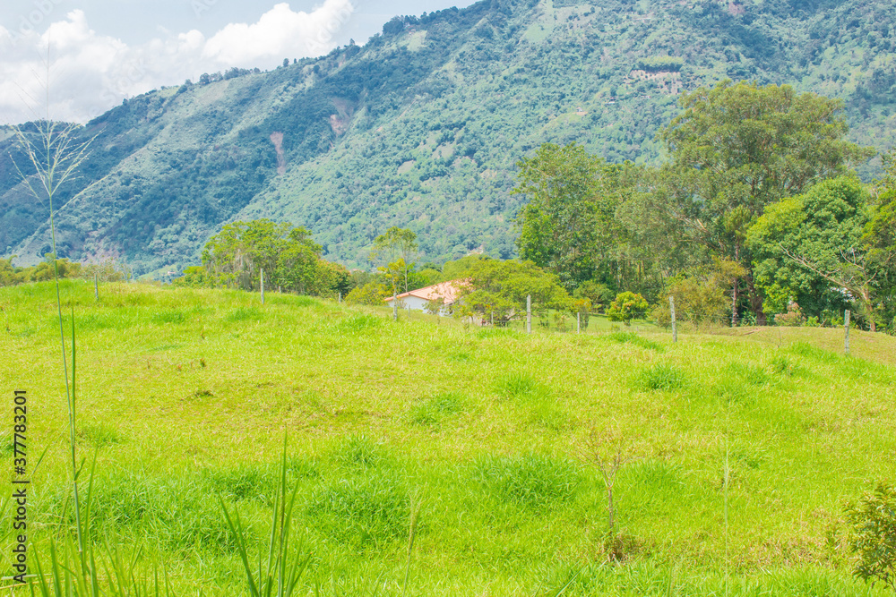 Colombian landscapes. Green mountains in Colombia, Latin America Colombian landscapes. Green mountains in Colombia, Latin America