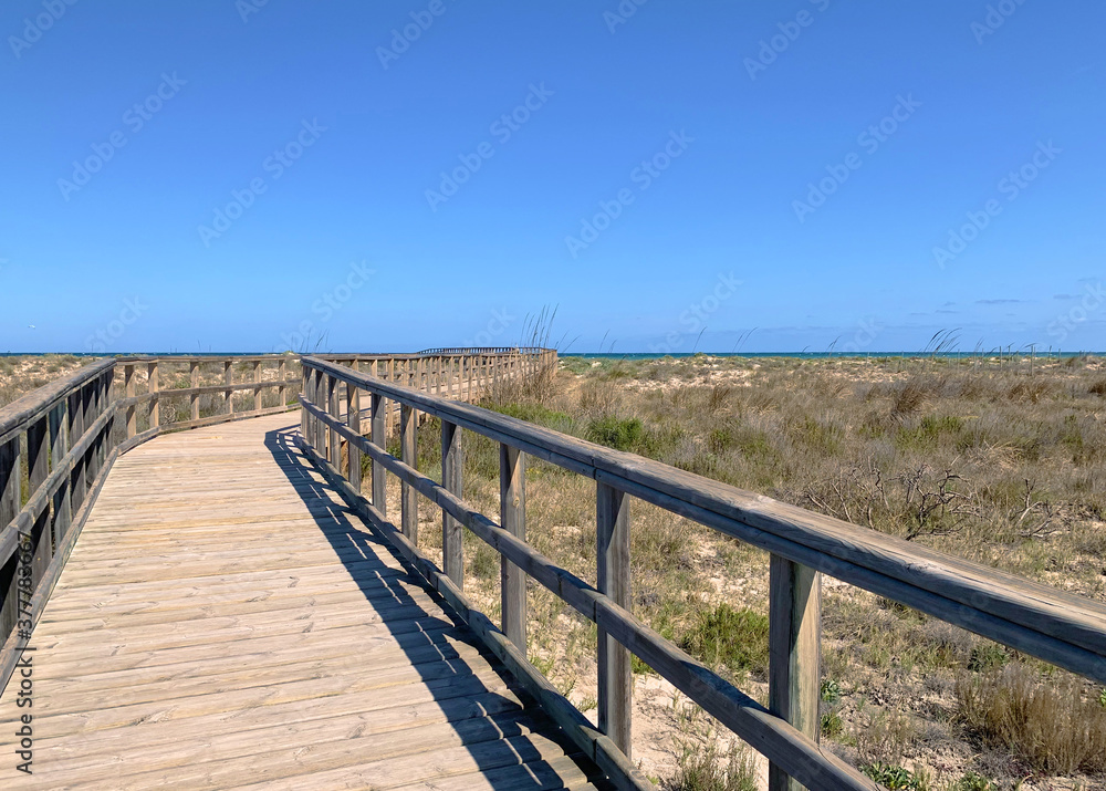 Arenales de San Pedro del Pinatar, Murcia, España