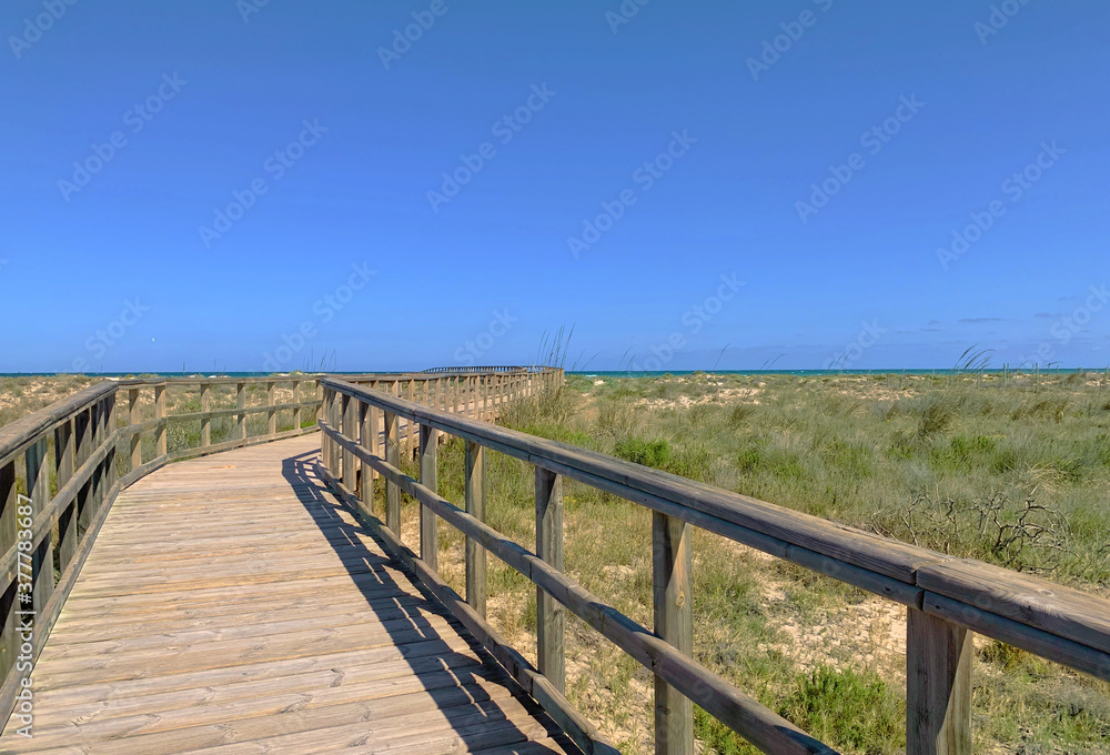 Fototapeta premium Arenales de San Pedro del Pinatar, Murcia, España