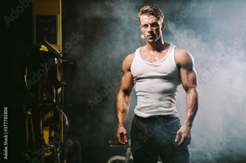 Tablou pe pânză Powerful sexy muscular body model photogenic
