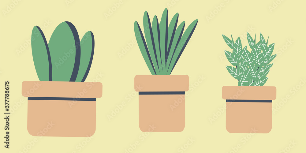 House plants and flowers in pots. Flat style vector illustration. House plants and flowers in pots. Flat style vector illustration.