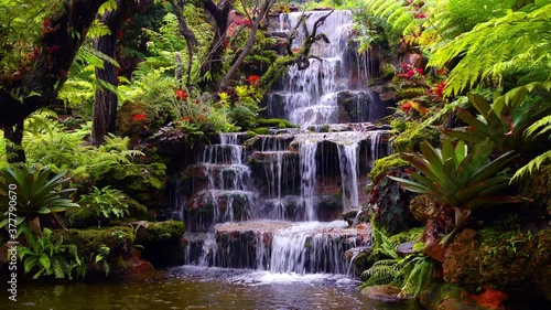 Waterfalls and forests at Tham Pha Daen Temple, Sakon Nakhon Province,Thailand photo