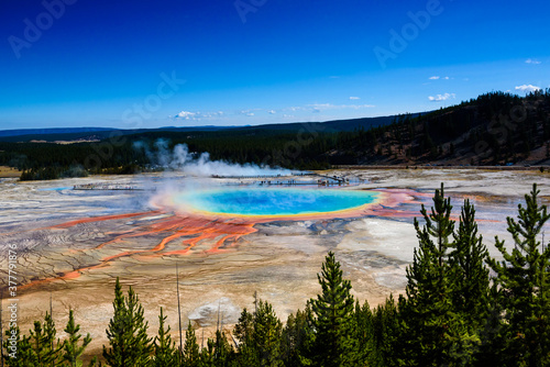 The Grand Prismatic spring as seen from observation point