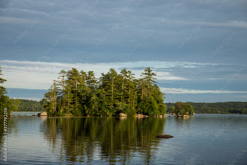 Obraz premium lake and trees