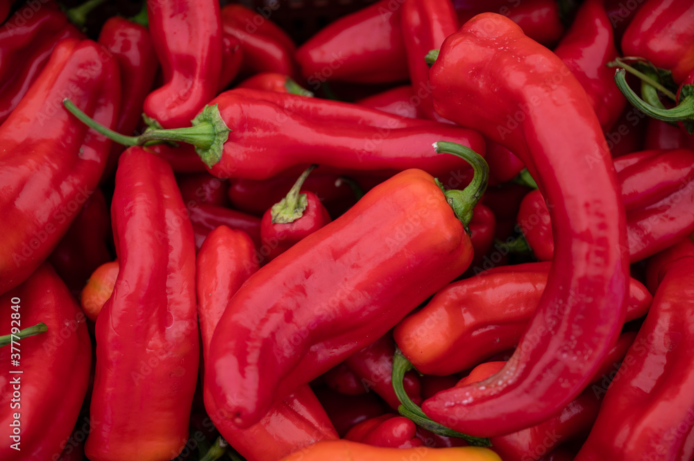A pile of red peppers, close up