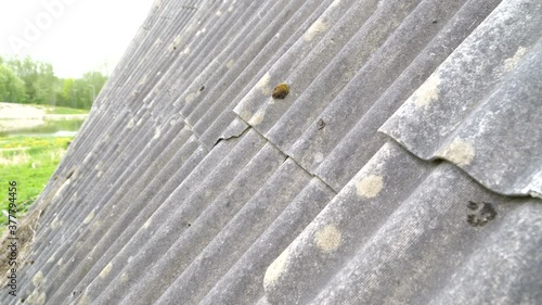 The look of the asbestos roof tiles of the house