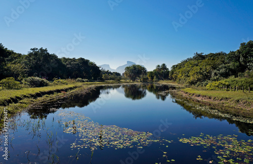 Lake and tropical rainforest, Barra da Tijuca, Rio