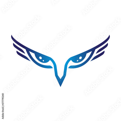Eagle eye symbol