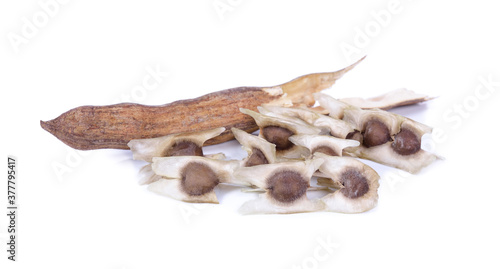 Cutting dry Moringa drumstick and seeds on white background photo