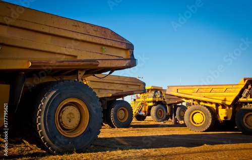 Four large yellow trucks used in modern mines and quarries for hauling industrial quantities of ore or coal. Photographed at sunset in golden light. Blackwater, Australia. Logos removed.