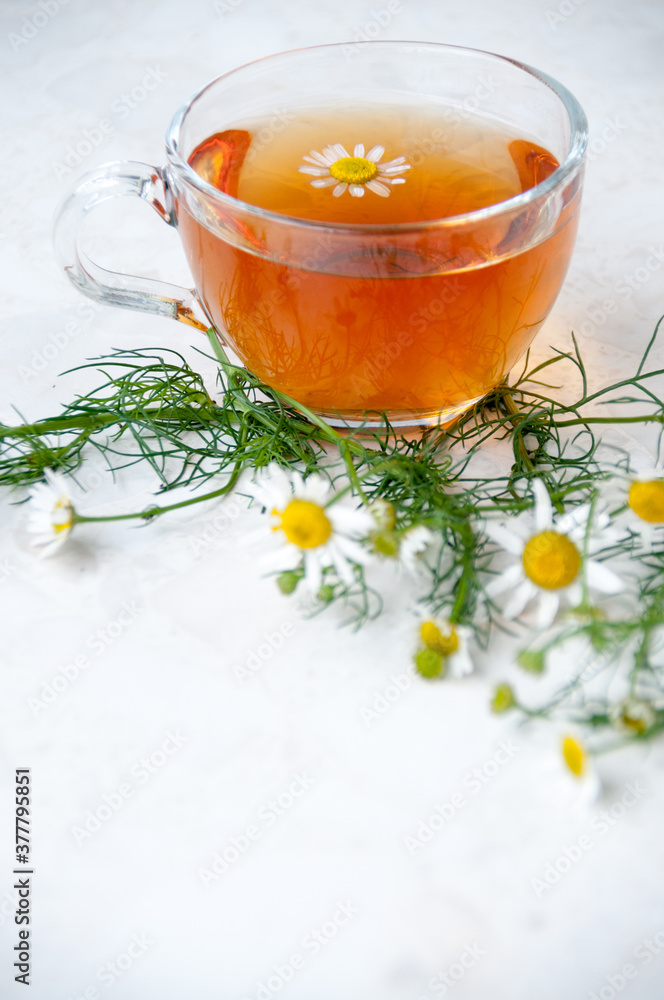 A Cup of chamomile tea and chamomile flowers on the table, space for text A Cup of chamomile tea and chamomile flowers on the table, space for text