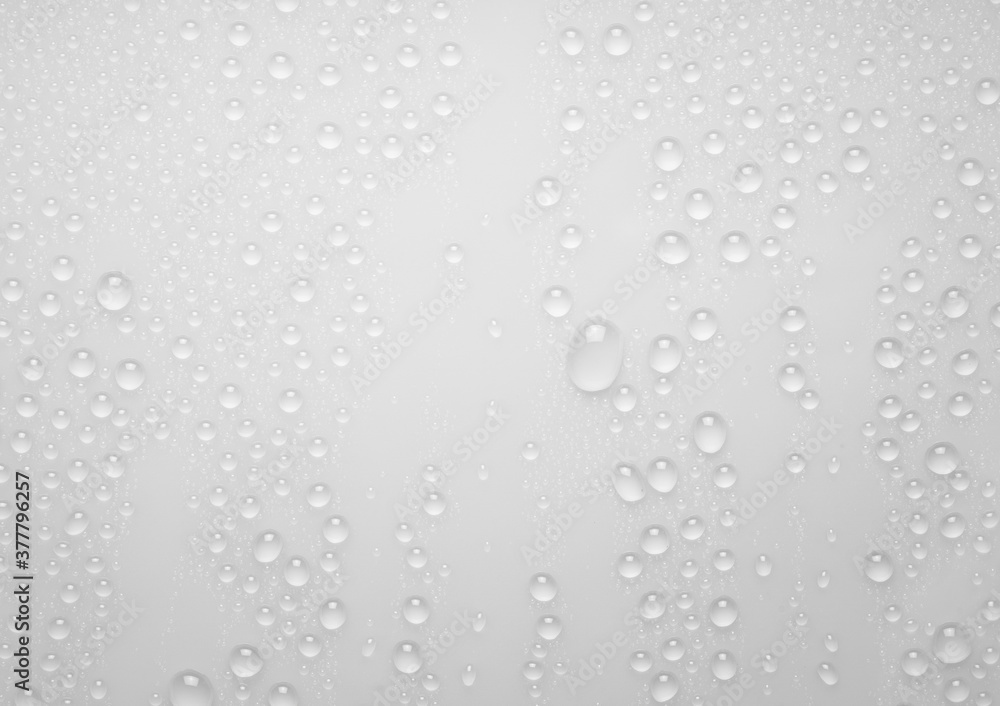 Water droplets on a gray background. Water droplets on a background of water drops.