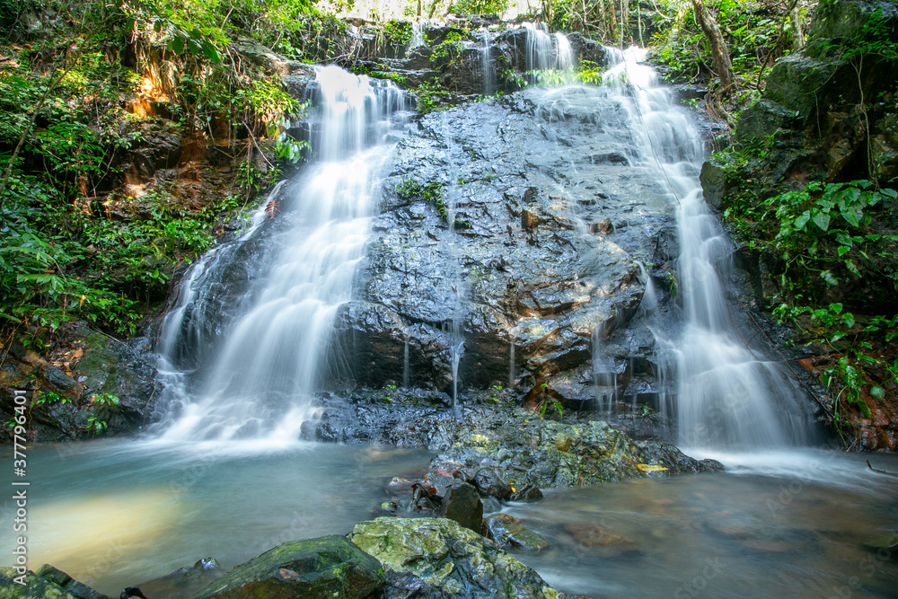 Obraz premium waterfall in the forest