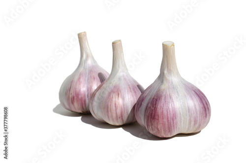 Three heads of garlic stand on a white background