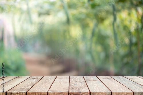 Empty wood table top and blurred green tree and fruit vegetable in agricultural farms background - can used for display or montage your products. © bunditinay
