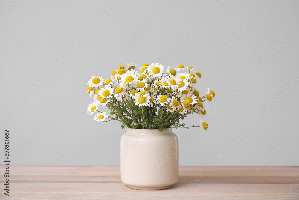 Bouquet of fresh chamomile flowers in vase on table against grey background Bouquet of fresh chamomile flowers in vase on table against grey background