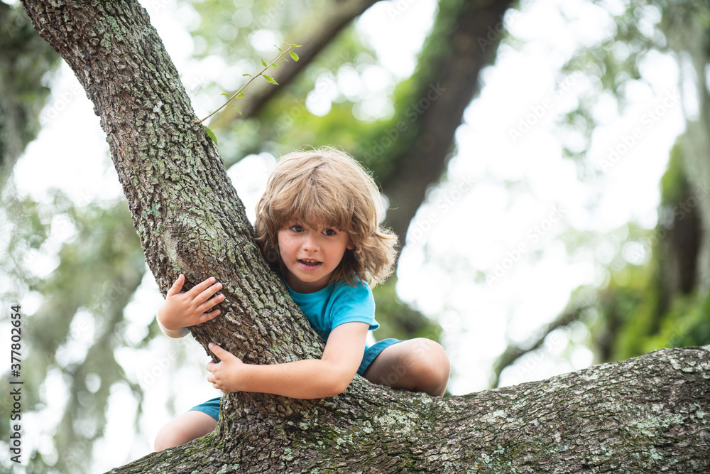 Cute kid boy hanging from branch. Child climbing a tree during summer time. Cute kid boy hanging from branch. Child climbing a tree during summer time.