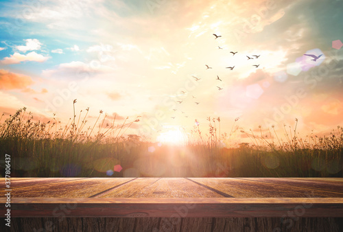 World environment day concept: Wooden floor and birds flying on beautiful meadow with sky autumn sunrise background	 photo