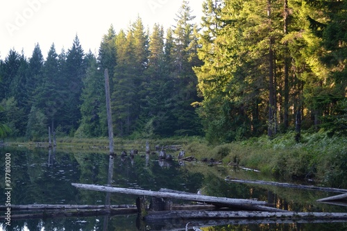Witchcraft Lake environment near Mount Benson.