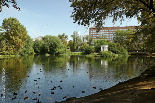 lake in the park