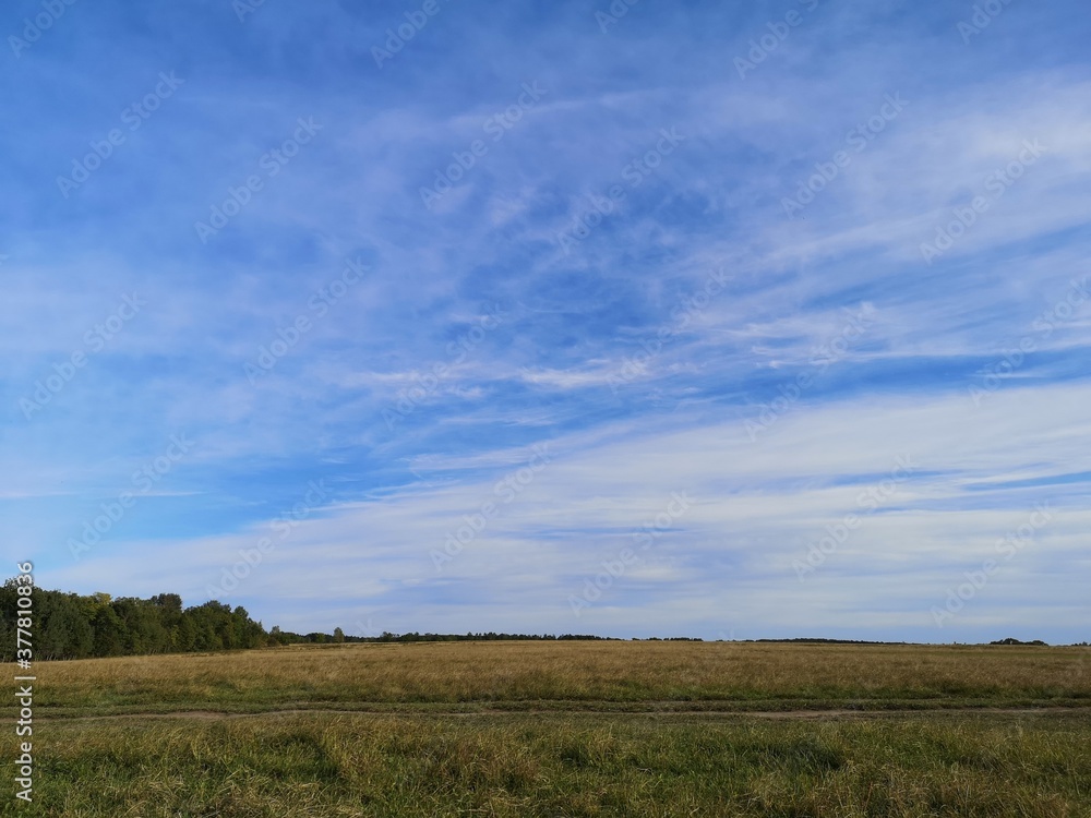 Blue sky with feathery clouds