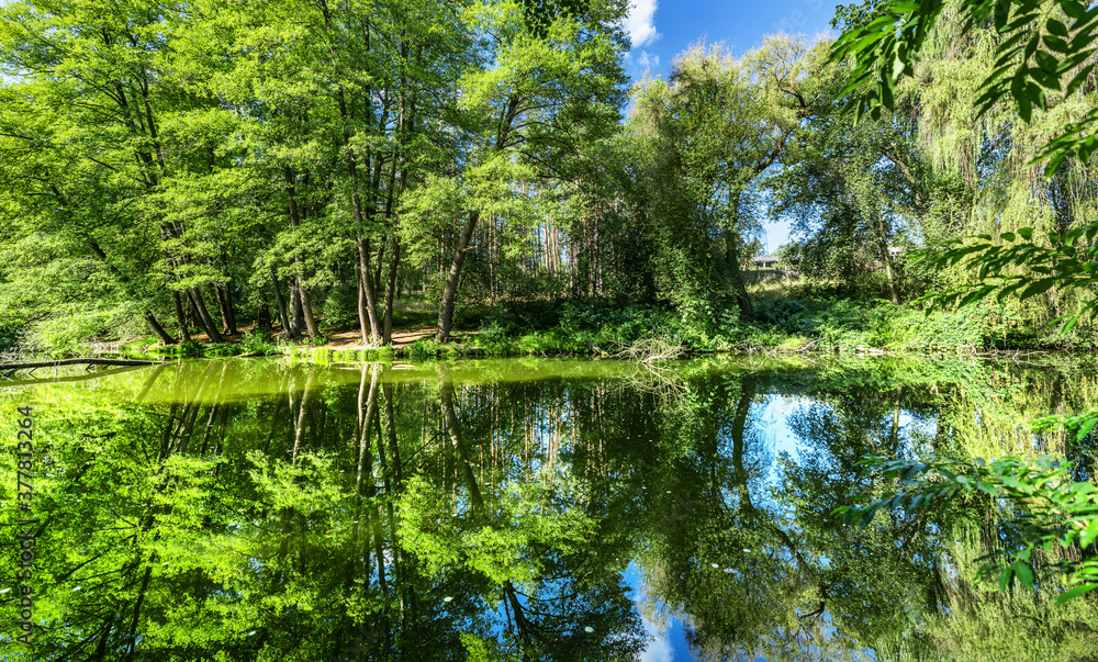 Landscape with trees reflecting, in the water, beautiful summer photography, background. Summer vacation concept.