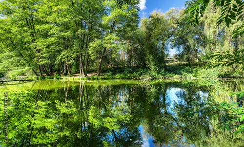 Landscape with trees reflecting  in the water  beautiful summer photography  background. Summer vacation concept.