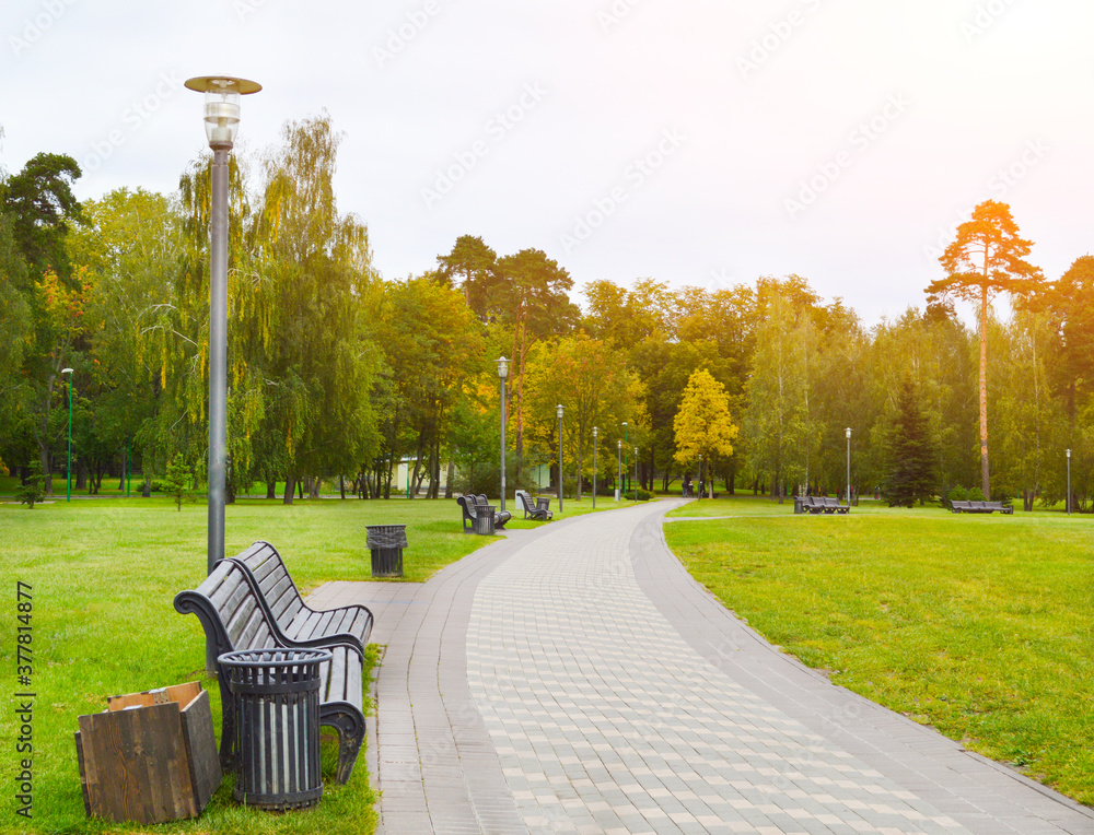 walk in the autumn park with benches. autumn landscape
