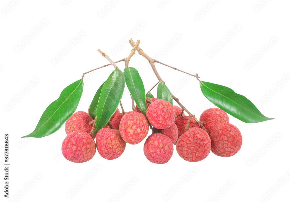 lychees with leaves isolated on white background with clipping path lychees with leaves isolated on white background with clipping path