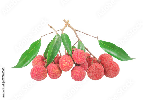 lychees with leaves isolated on white background with clipping path