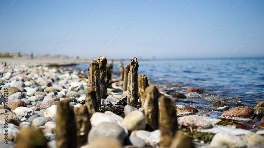 Old wood poles at the beach of the Baltic Sea in Northern Germany Old wood poles at the beach of the Baltic Sea in Northern Germany
