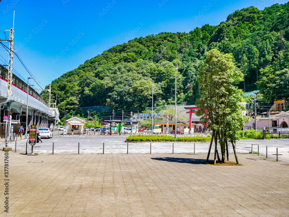 Obraz premium 夏・高尾山・散歩道