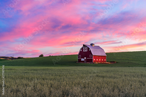 Red barn in wheat field with pink sky at sunset in Washington state