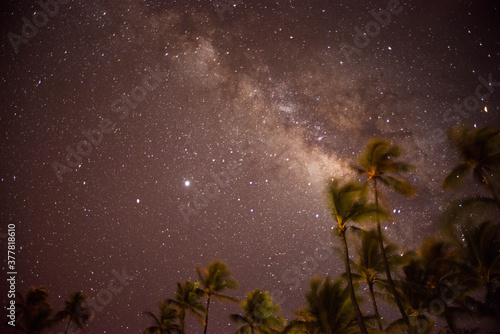 stars in the night of hawaii